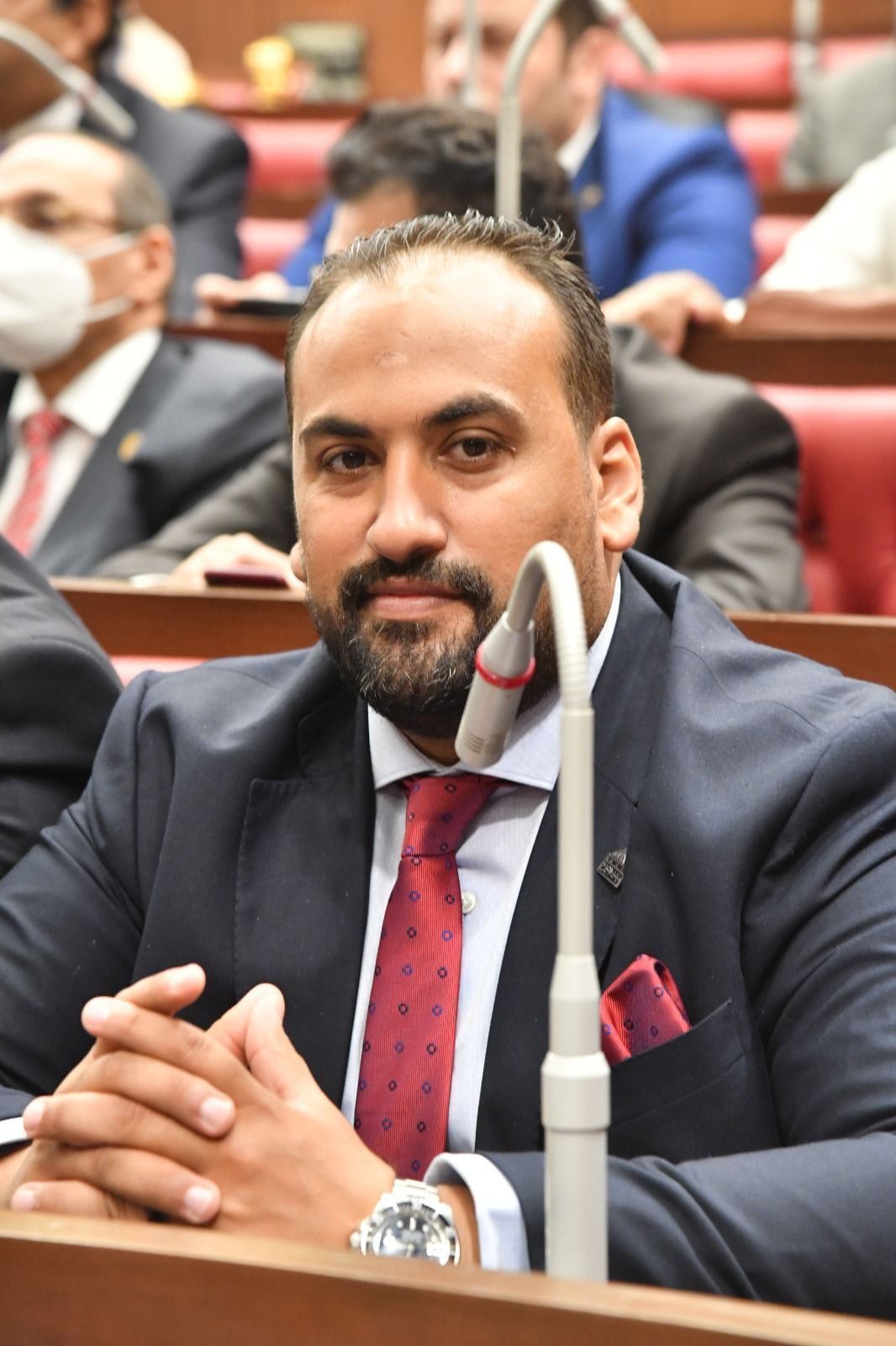 محمد الرشيدي عضو مجلس الشيوخ 