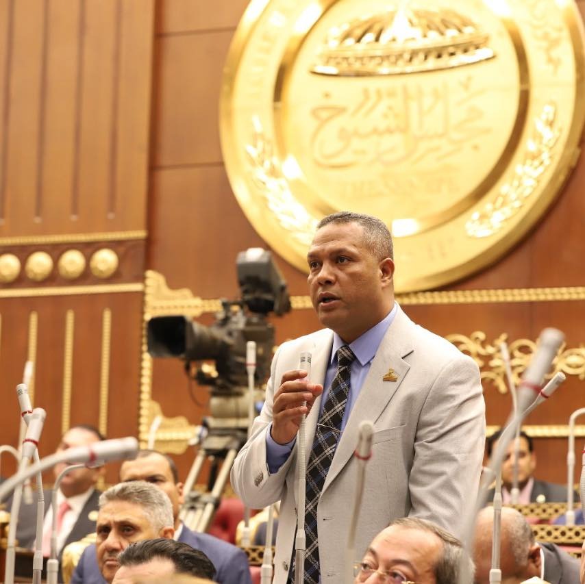 محمد حمزة عضو مجلس الشيوخ 